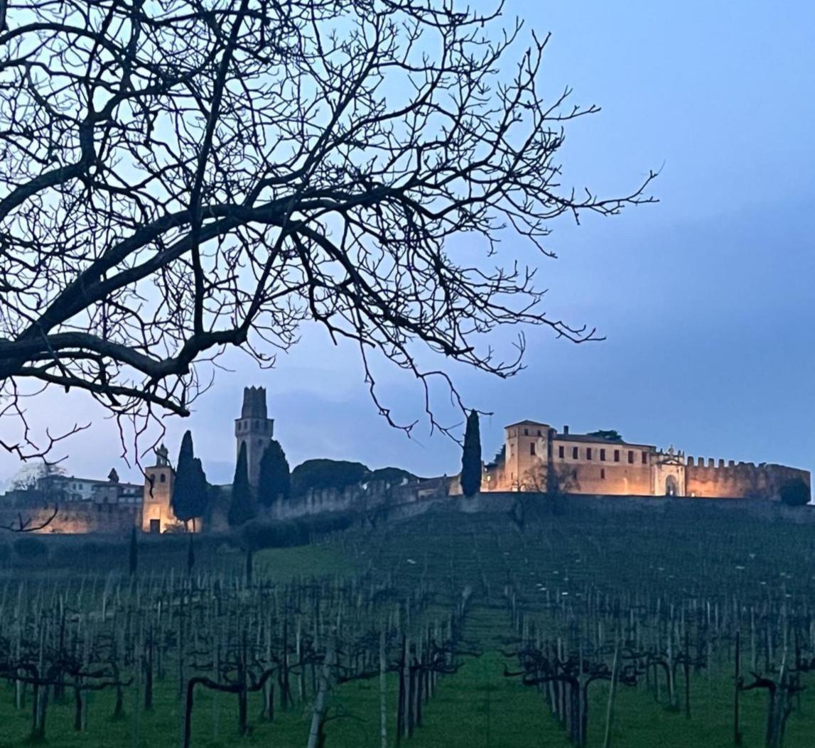 Villa I Sassi Della Piave Susegana Esterno foto